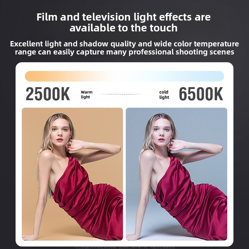 ZU80 High-Power COB Fill Light - Photography Lighting Portable 评论和价格