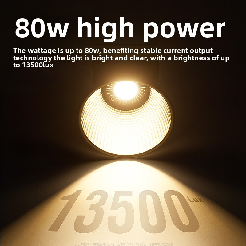 ZU80 80w Handheld Exterior Lam - Photography Lighting Portable 评论和价格
