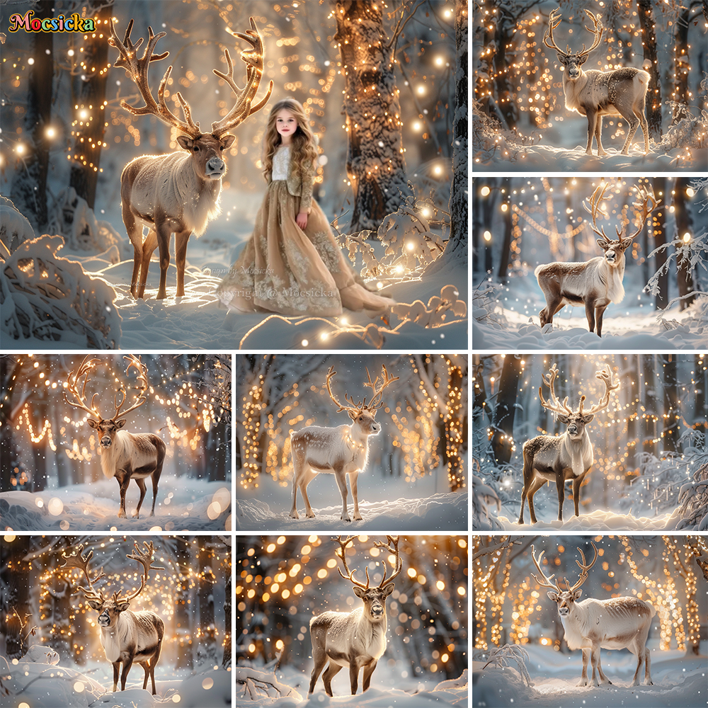 Winter Snow Scenes Photography - Photography Natural Lighting 评论和价格
