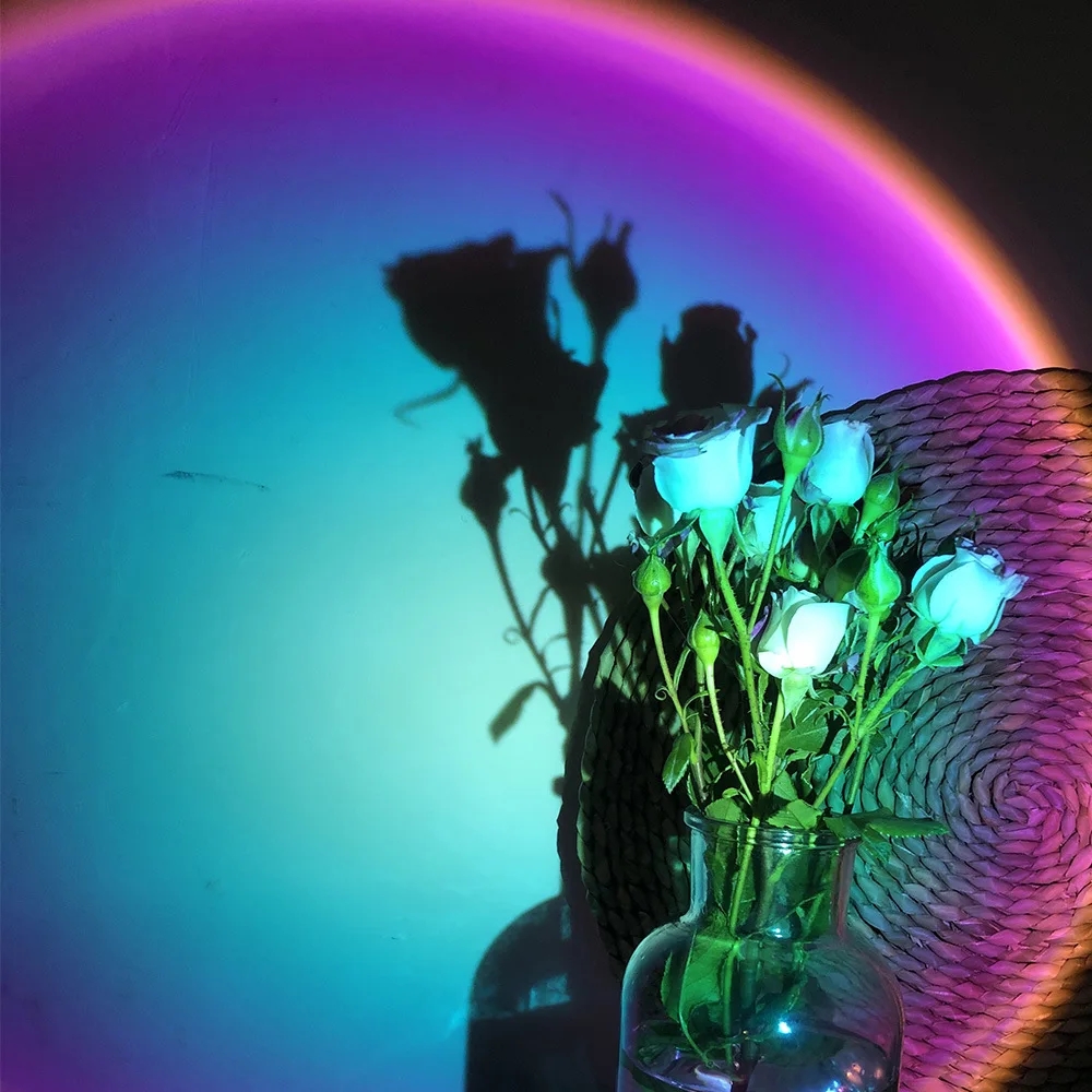 LED Sunset Lamp Nightlights Pr - Photography Lighting Mood 评论和价格