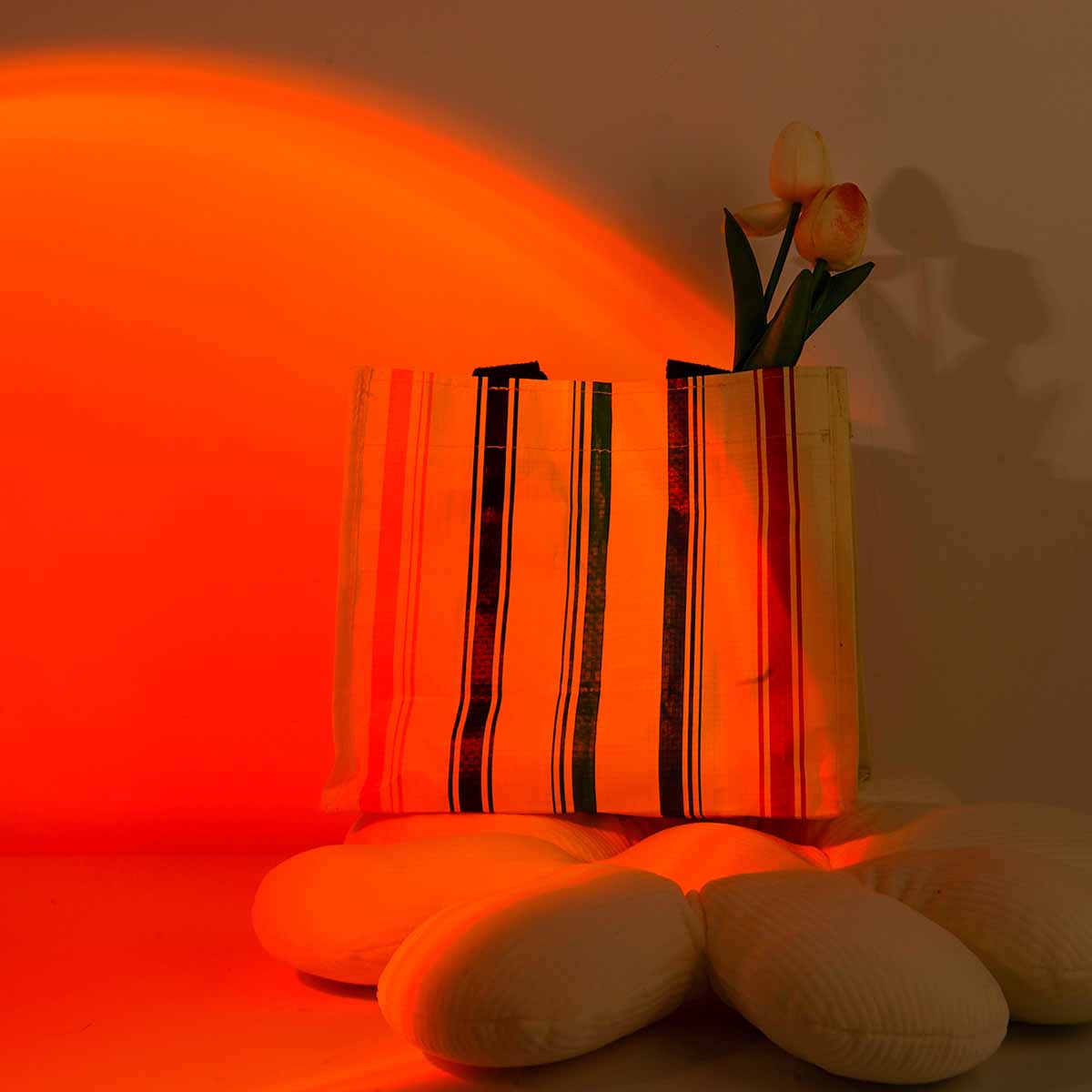 Sunset projection light remote - Photography Lighting Wall 评论和价格