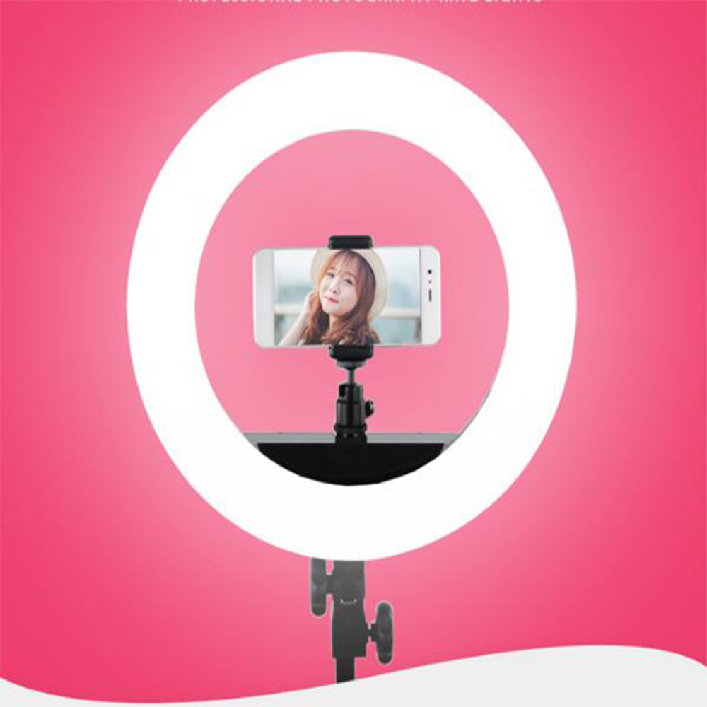 10'' QS-280II 95RA Bicolor LED - Learn Photography Lighting 评论和价格
