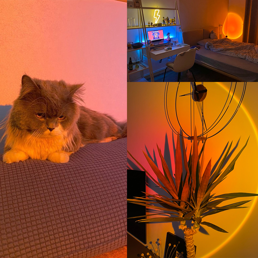 LED Sunset Lamp Nightlights US - Photography Lighting Mood 评论和价格