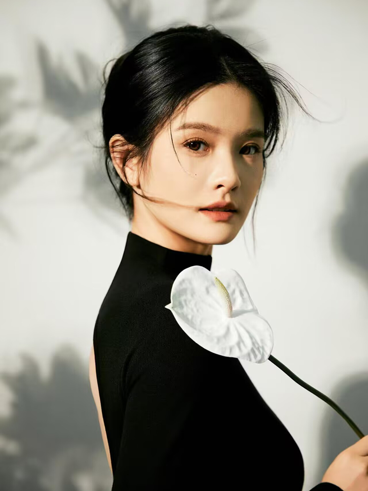 New Simple Chinese Style High- - Photography Lighting Mood 评论和价格